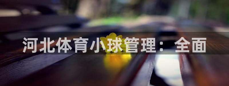 必一体育登陆：河北体