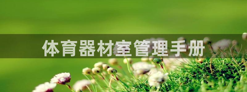 必一体育官网网站