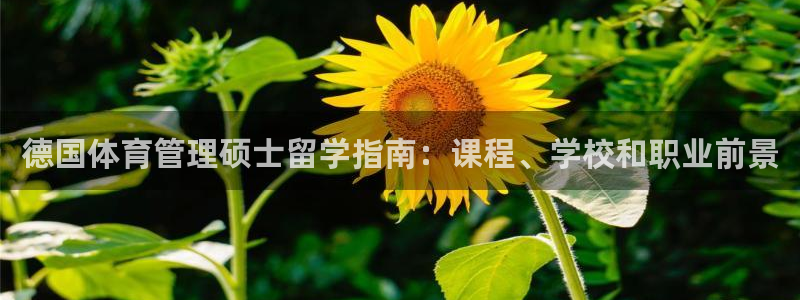 必一体育app下载最新版本