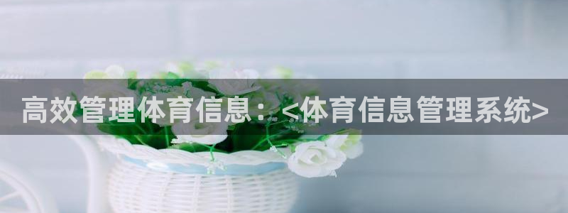 必一运动sport网页版