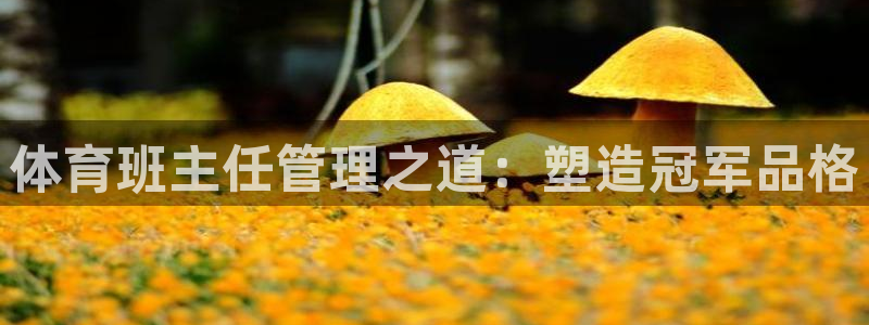 必一运动体育官网下载