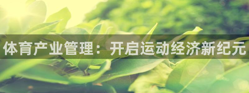 必一体育app下载装机吧