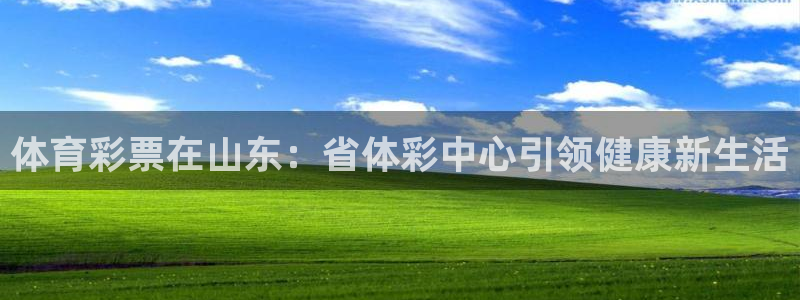 必一体育官网app