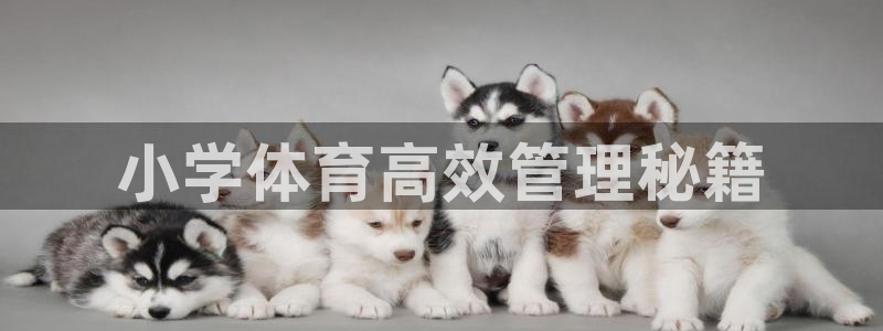 b体育官网下载入口app必一