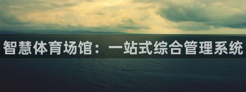 必一体育运动平台官网