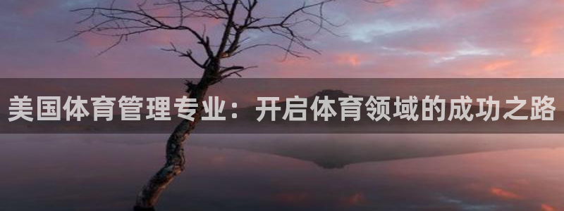 必一体育在哪下