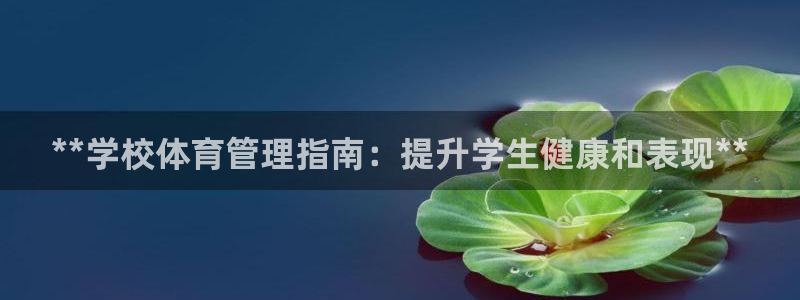 必一运动bsport体育app下载
