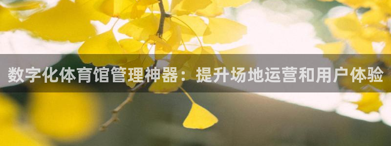 必一体育平台：数字化