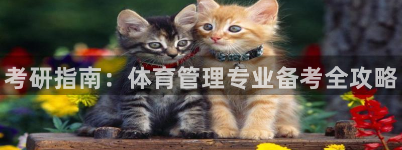 必一体育官网网站：考