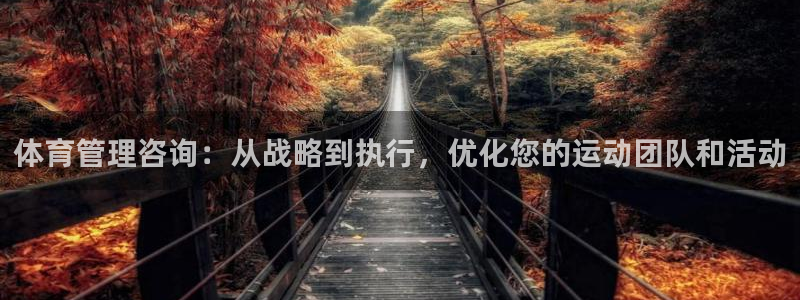 Bsport体育app必一