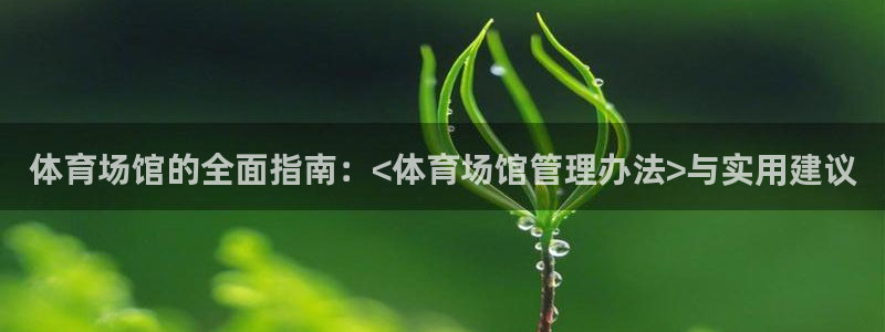 必一体育怎么下载：体