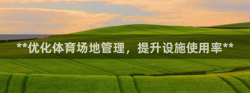 必一体育官方下载：*