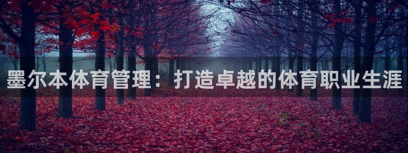 必一体育能提现大金额