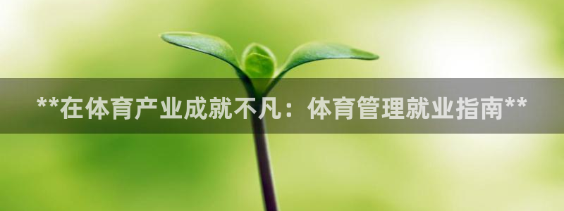 必一体育全站在线登录