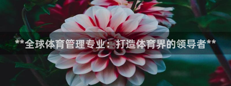 必一体育下载app下