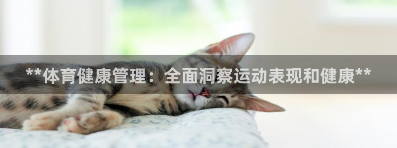 必一体育是啥：**体