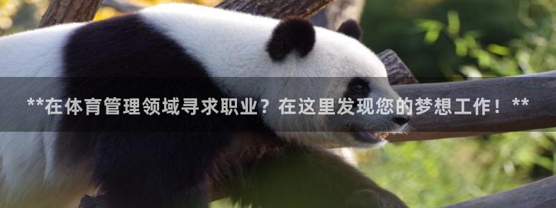 必一体育可靠吗：**