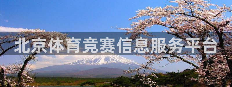 必一体育sportB体育