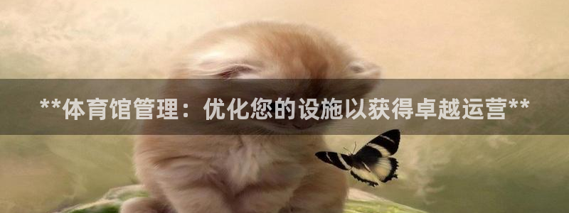 必一体育app平台下