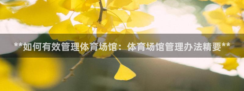 必一体育sport装