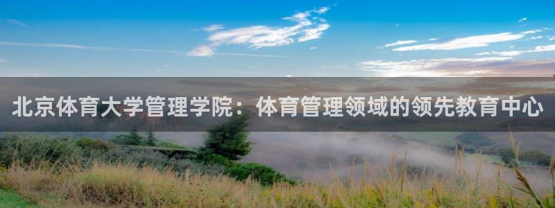 必一体育app下载安