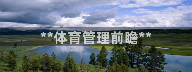 必一体育游戏玩法