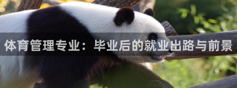 必一体育是啥
