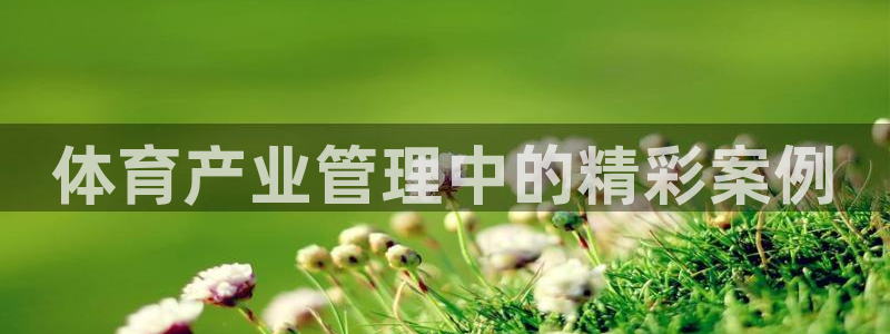 b体育官网下载入口app必一
