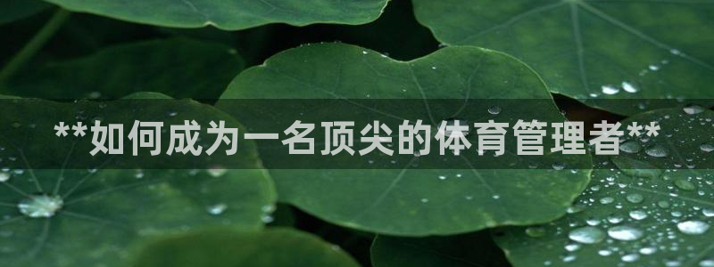 必一运动·(B-Sports)