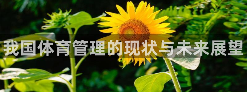 必一运动听的歌：我国