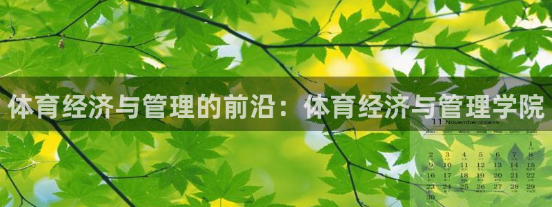 必一体育sport下