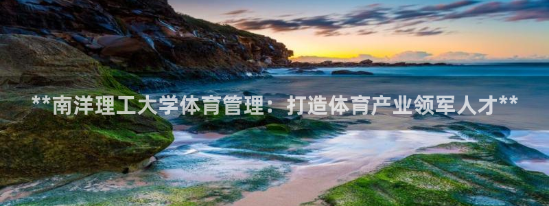 必一运动sport爱