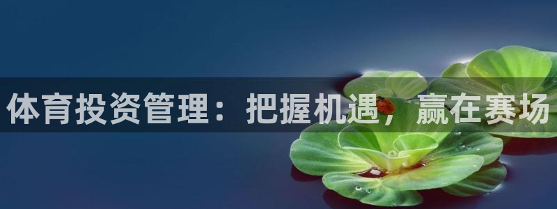 必一体育在线玩