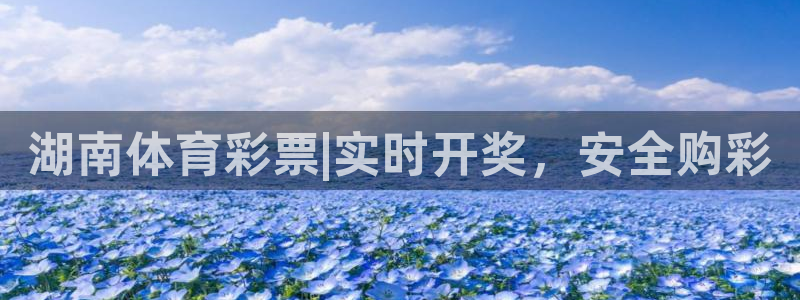 必一体育官方下载入口