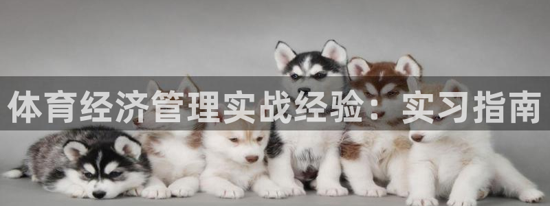 必一体育app官方：