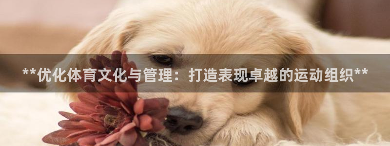 必一体育网页：**优