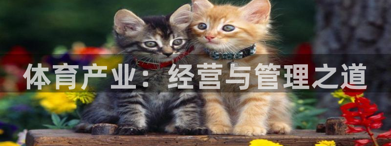 必一体育服下载最新版