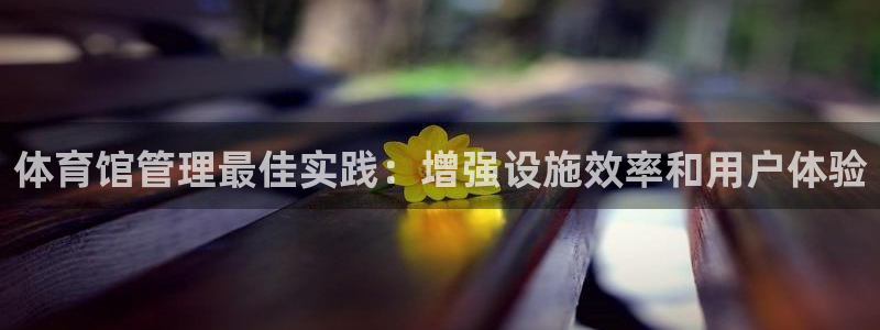 必一体育sport：