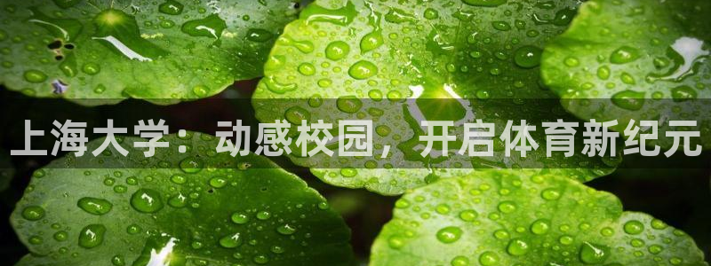 必一体育官网网址：上