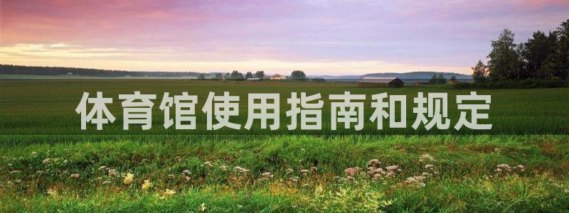 必一体育运动官网