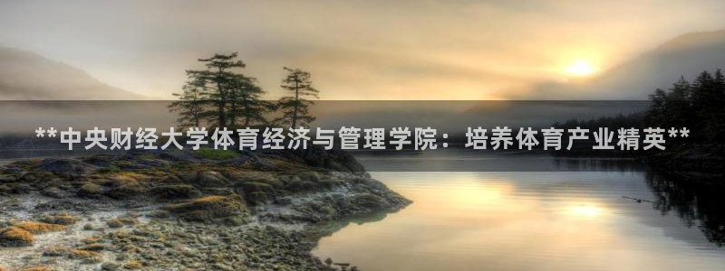 必一体育bsport