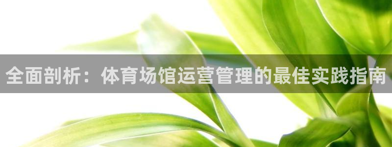 必一体育验证码：全面