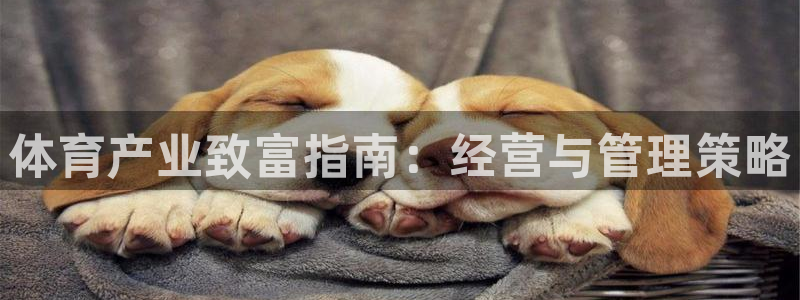 必一体育app官方下载入口