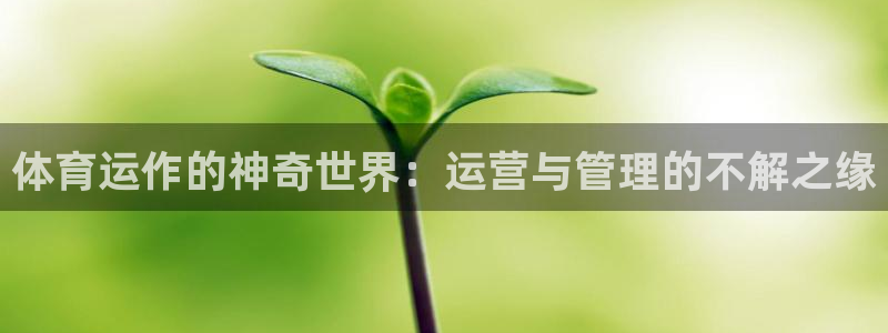 必一体育在线官网