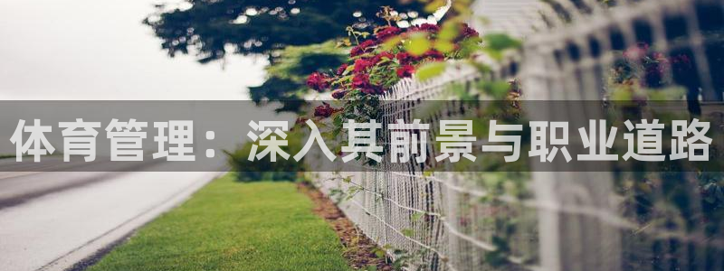 必一体育在线下载