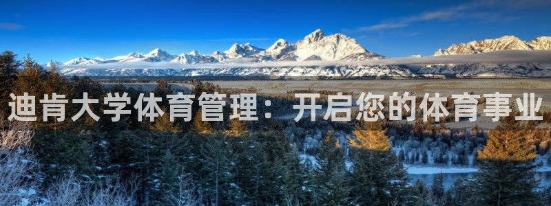 必一体育网页：迪肯大