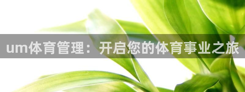 必一运动官网：um体
