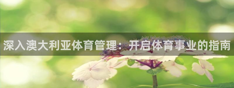 必一体育在哪下：深入