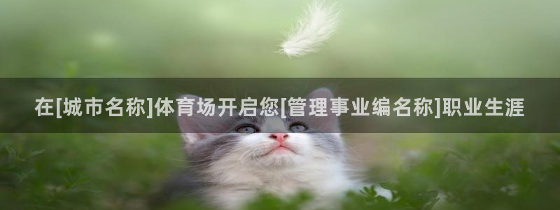 必一体育怎么下载：在