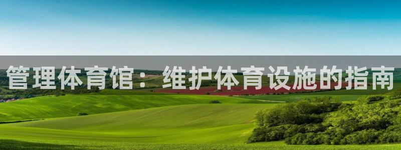 Bsport体育app必一